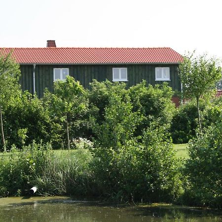 " Haus Zwischen Den Meeren " Strubbel Экстерьер фото